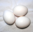 Weiße Eier